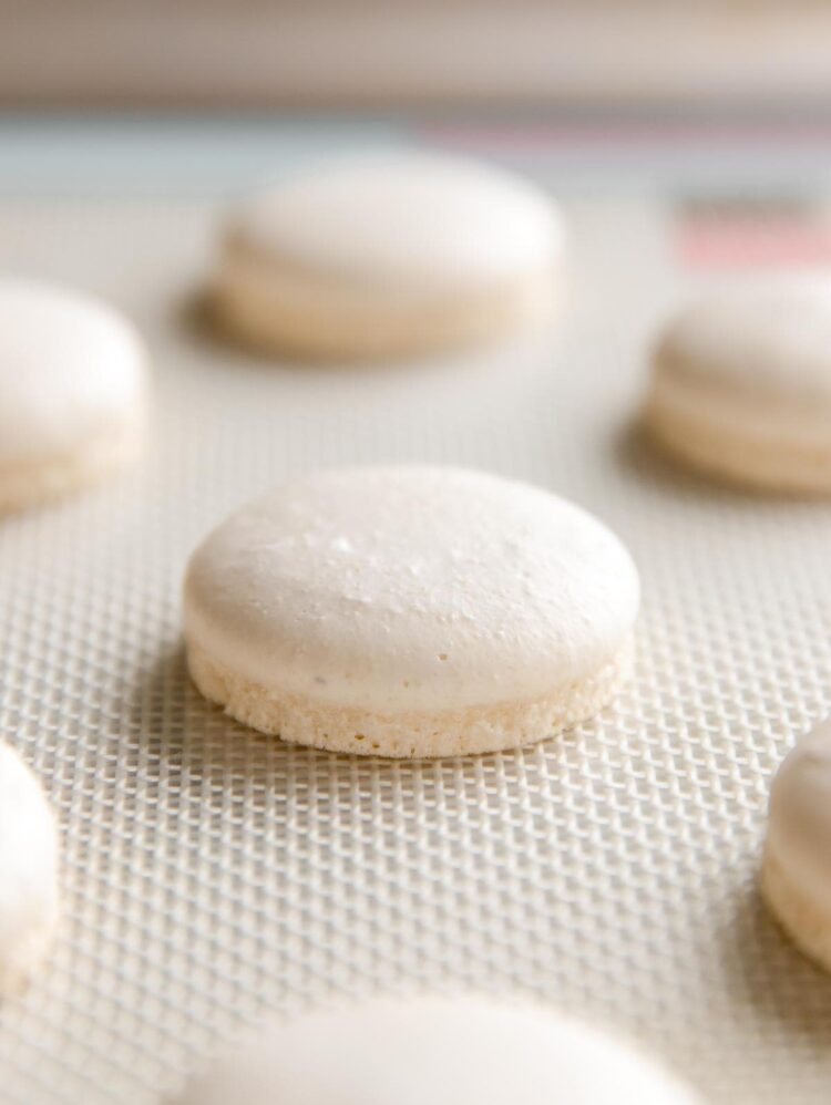 the blond macaron feet 5