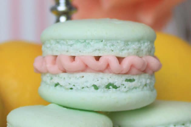 the brun macaron feet 6