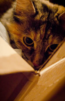 thelostnarrator feet 4