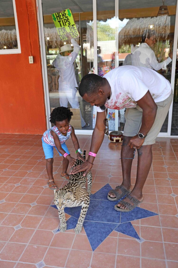 themomtrotter feet 6 scaled