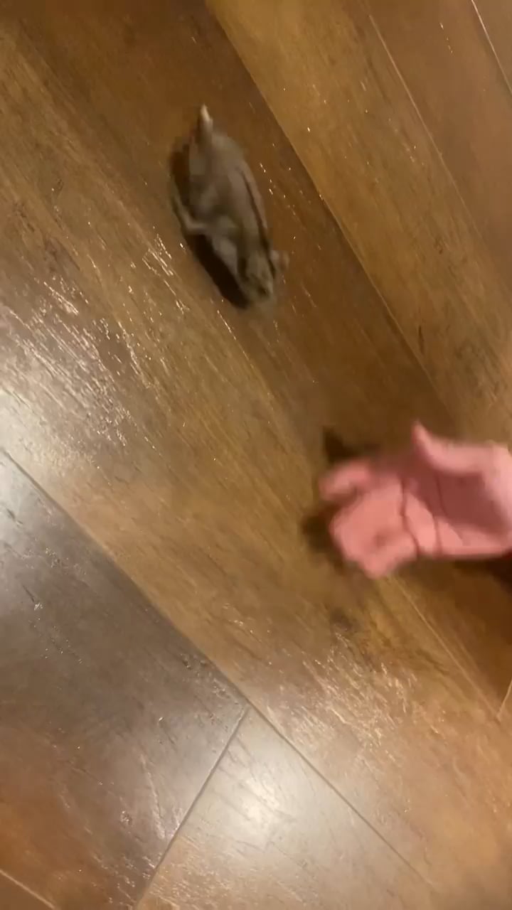 theoriginaltokyodrift feet 4