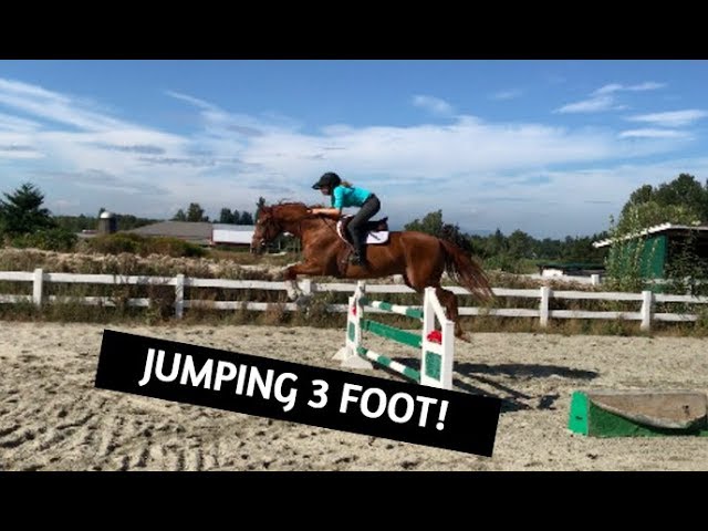 therese moser feet 6