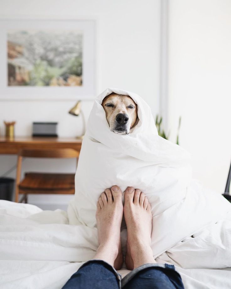 theron humphrey feet 2