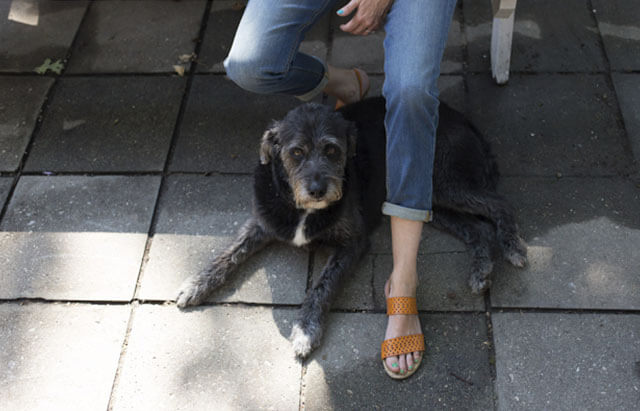 theron humphrey feet 3