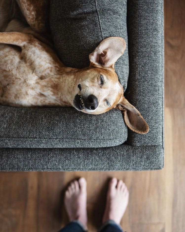 theron humphrey feet 5