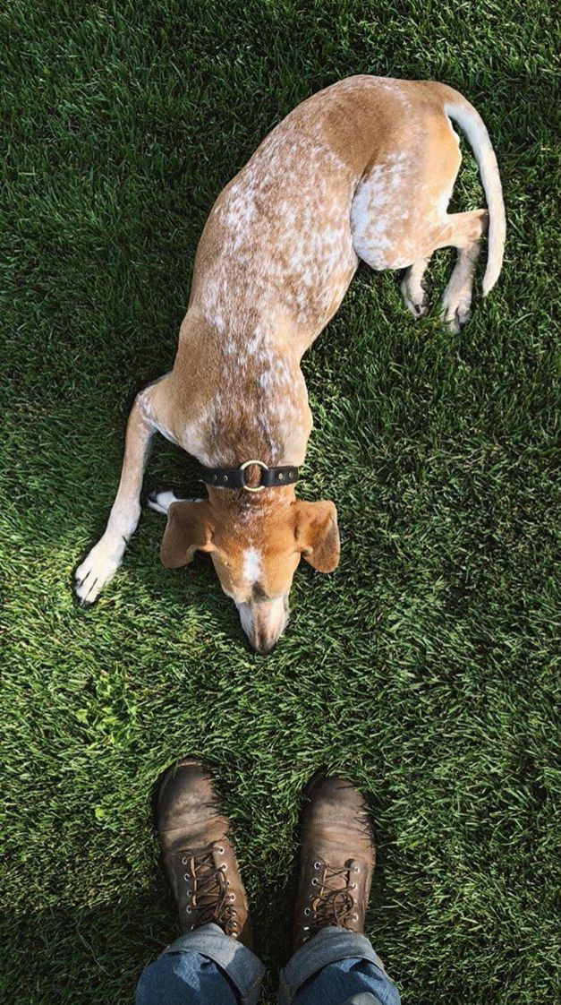 theron humphrey feet