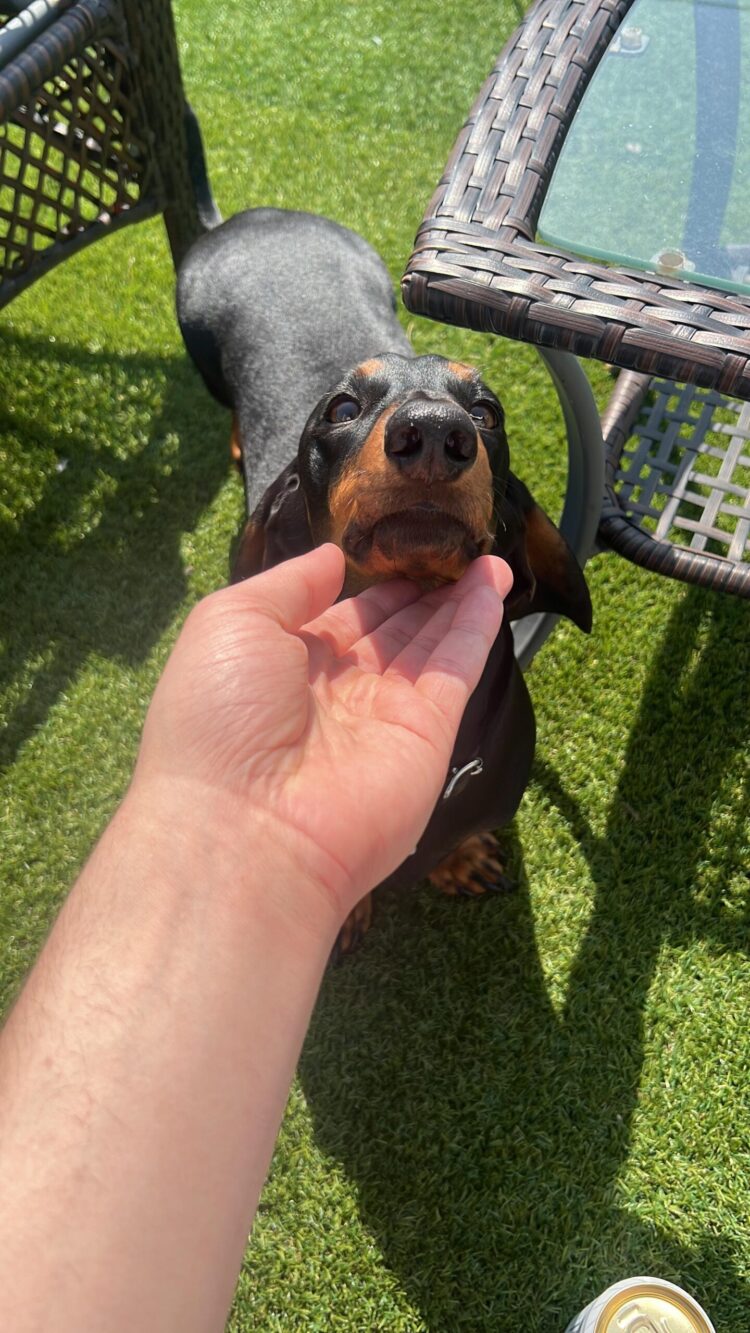 thisismax feet 3 scaled