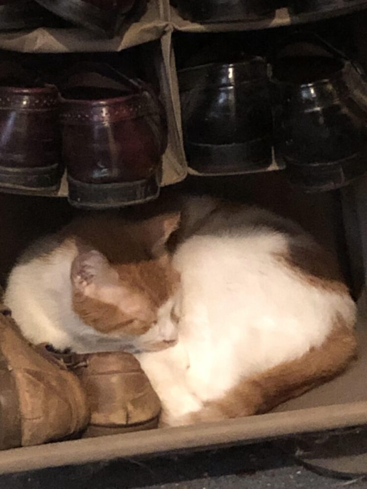 thisismax feet 6 scaled