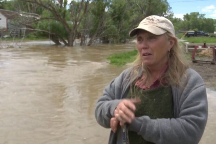 tiffany curry feet 6