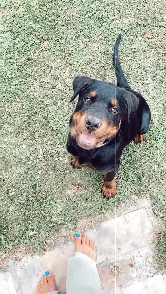 tiffany gounin feet 6