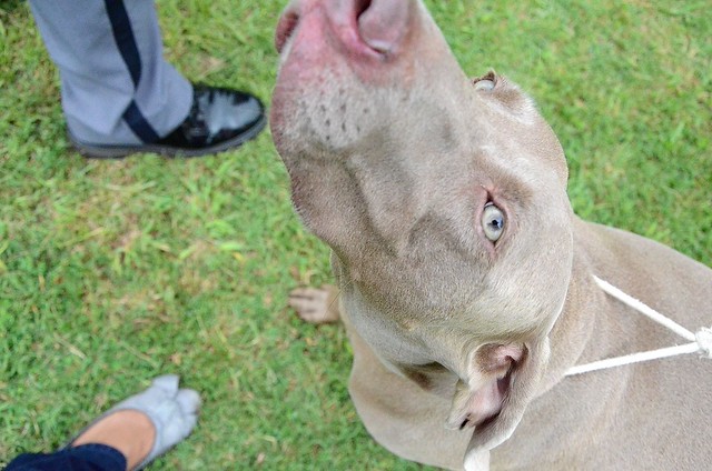 tiffany scott feet 4