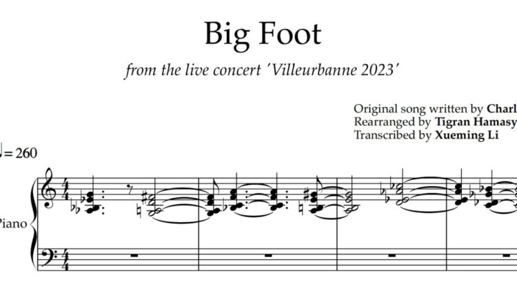 tigran hamasyan feet 5