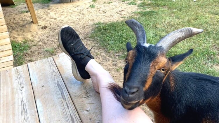 tilly pemberton feet 5