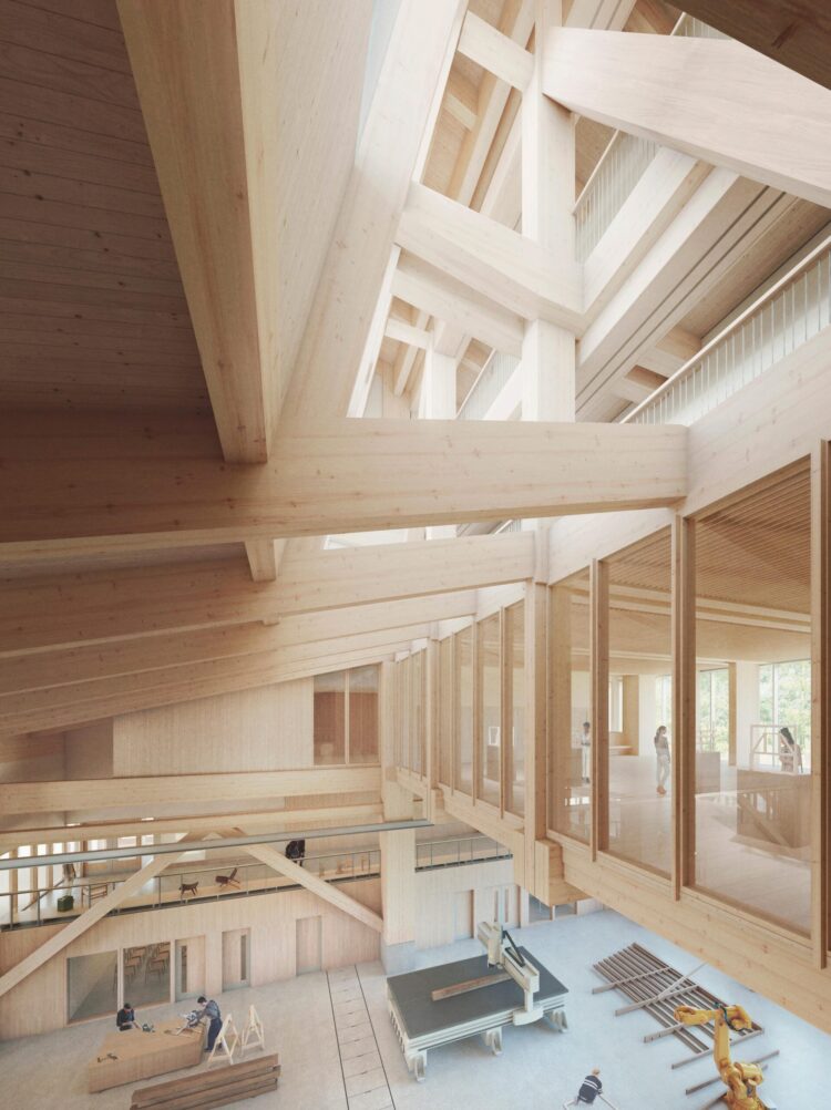 timber tate feet 5 scaled