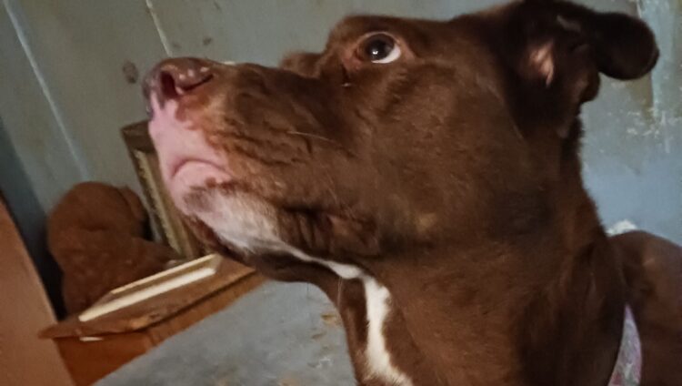 tina dandridge feet 3 scaled