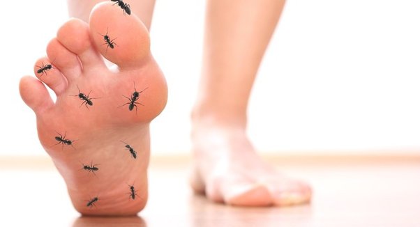 ting ma feet 2