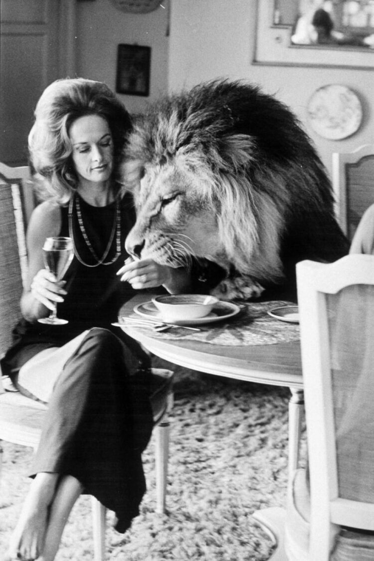 tippi hedren feet 5