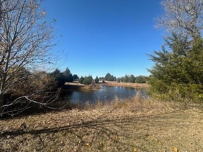 tisha summerall feet 4