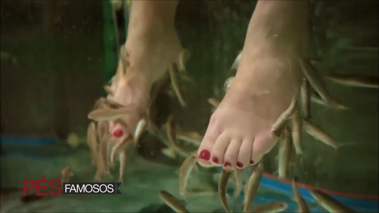 titi muller feet 2