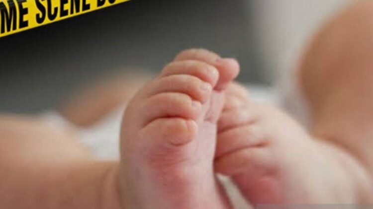 titi rajo bintang feet 3