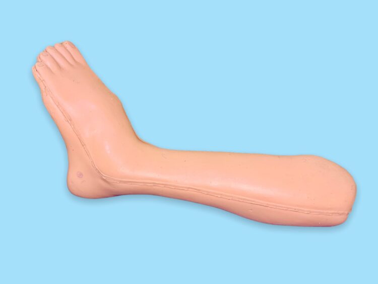 toy caboodle feet 2