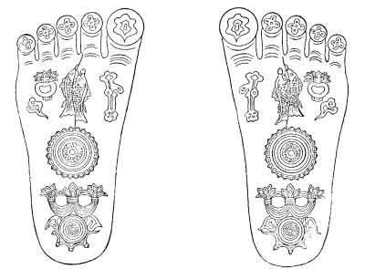 trace mace feet 1