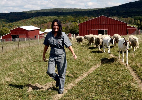 tracey mcshane feet 2