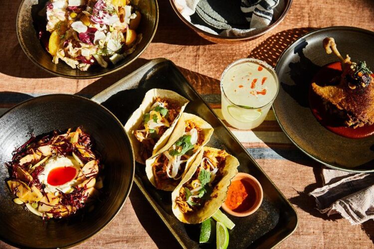 traci des jardins feet 2