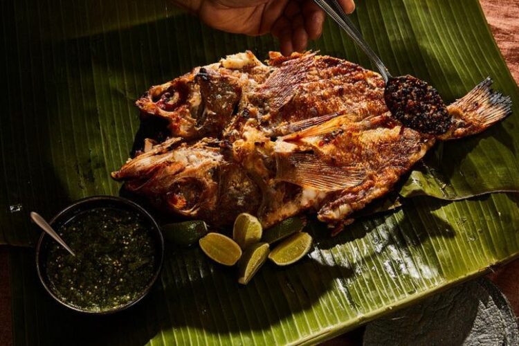 traci des jardins feet 6