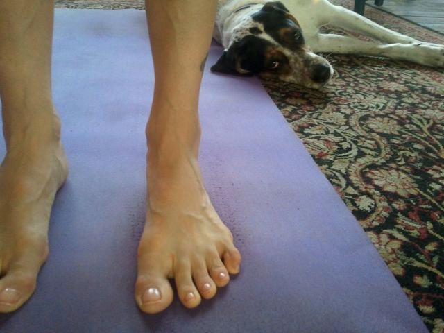 traci dinwiddie feet 1