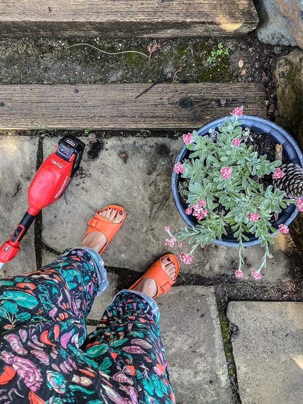 tracy benjamin feet 4