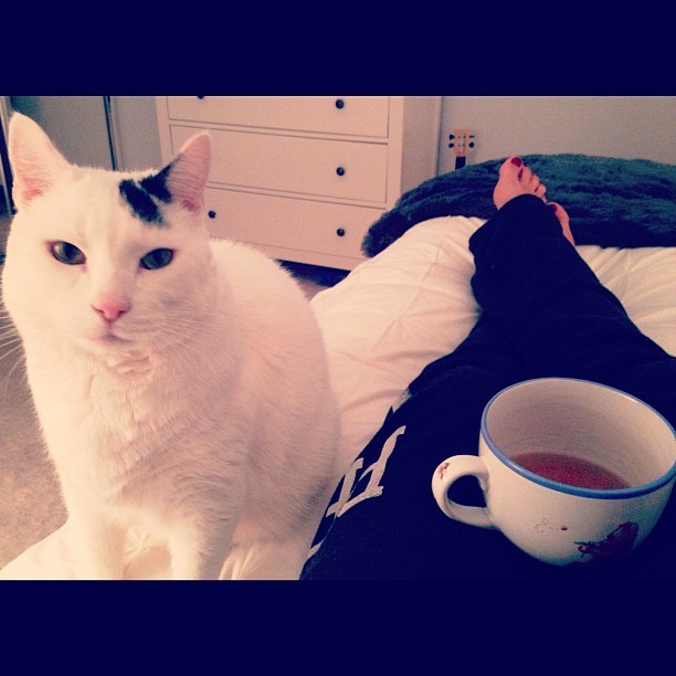 tracy jai edwards feet 5