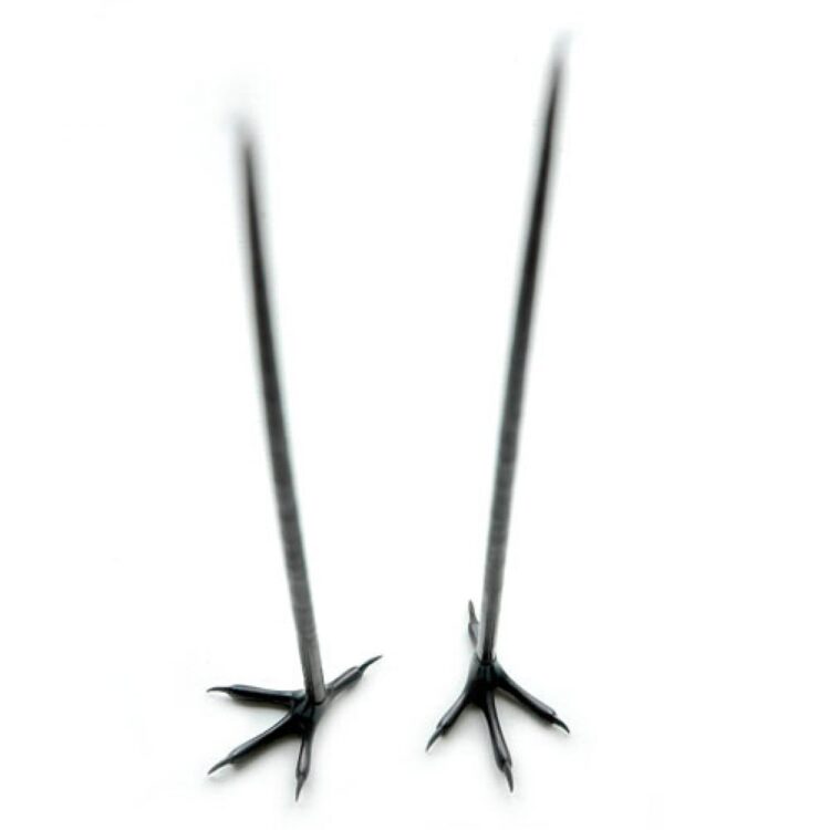 trinity foodtales feet 2