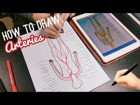 twinklinglena feet 5