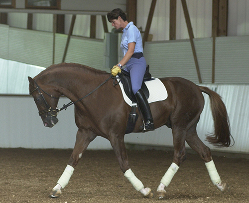 ulla salzgeber feet 1