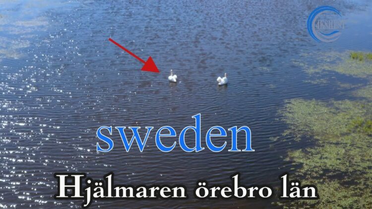 ulrika widstrom feet 5