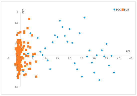 valentina baldioli feet 3