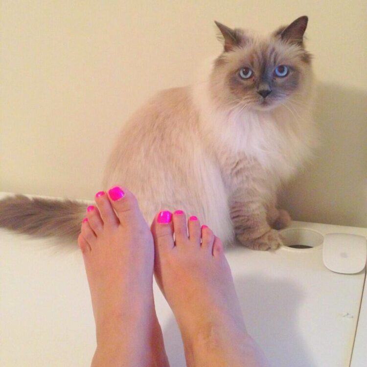 valentina rendon feet