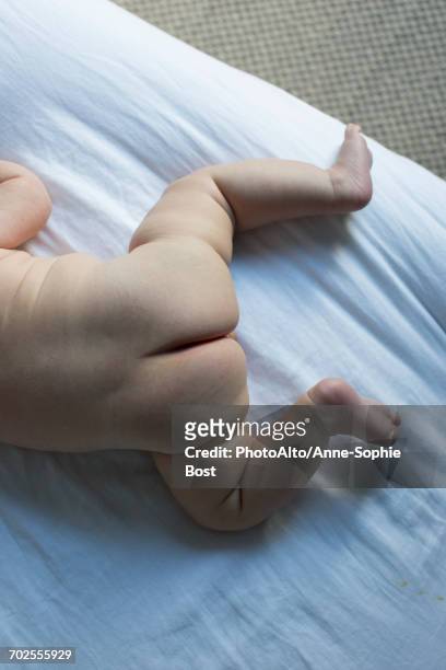 veronique sophie schroter feet