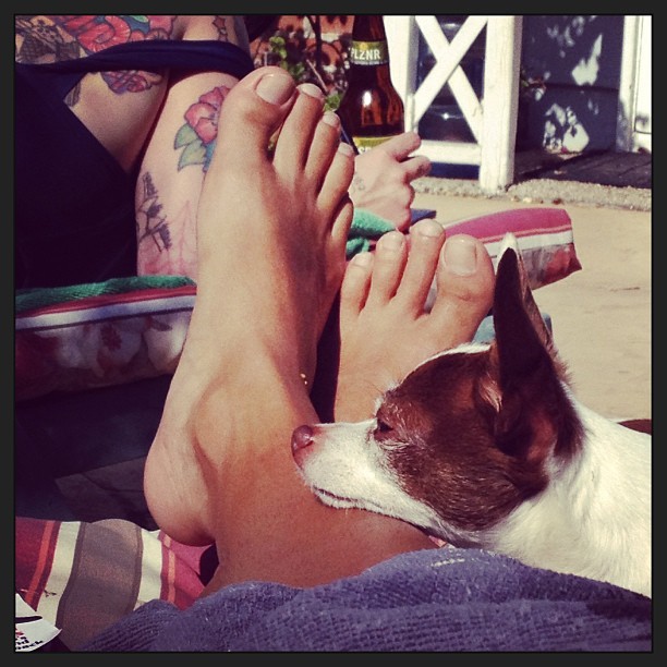 vicci martinez feet