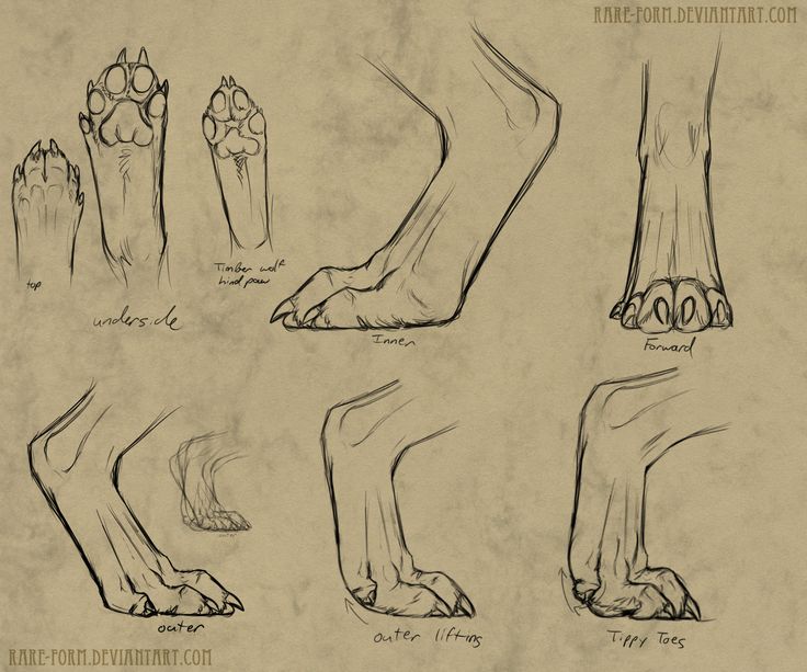 vinicius art feet 4