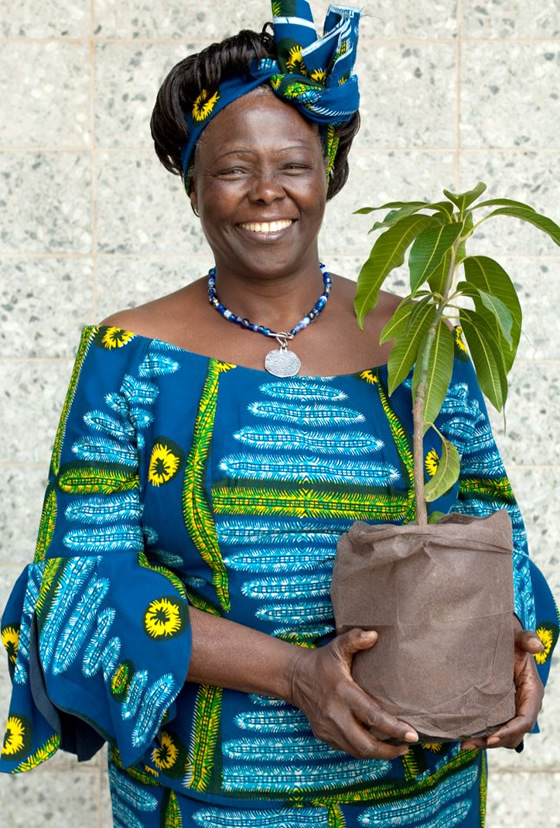 wangari muta maathai feet 3