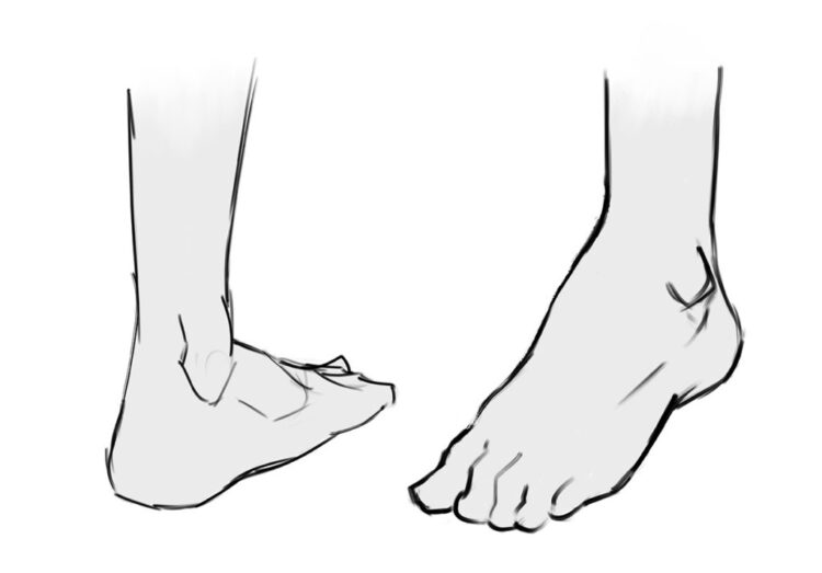 way feet 3