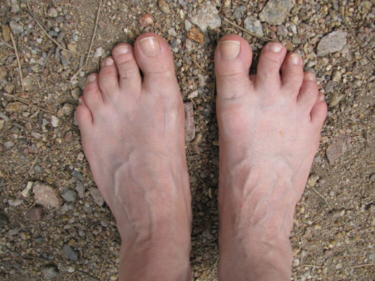 whitney wild feet 4 scaled