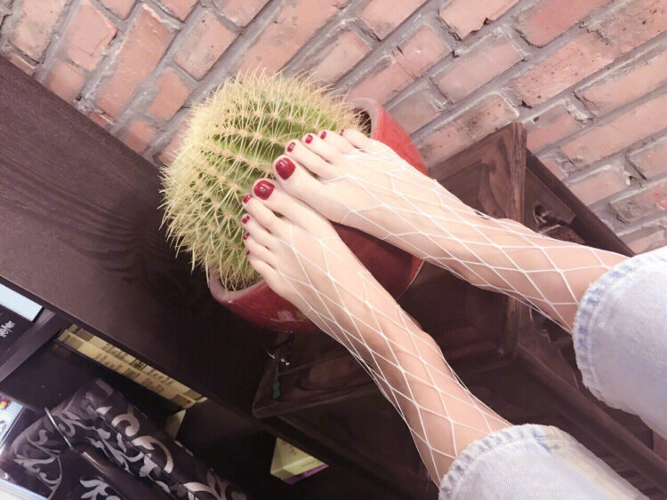 zhang lanxin feet