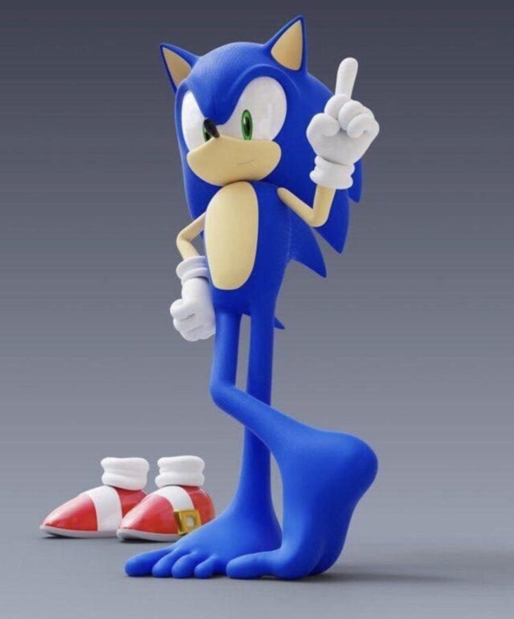 zonic feet 3